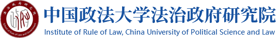 解志勇：数字法治政府构建的四个面向及其实现-法治政府网