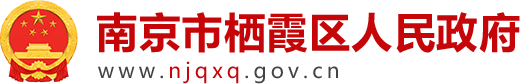 南京市栖霞区人民政府 2021年栖霞区国民经济和社会发展统计公报